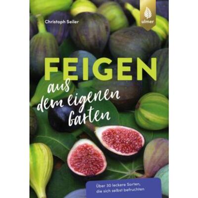 预订不退不换德语 Feigen aus dem eigenen Garten:Über 30 leckere Sorten, die sich selbst bef