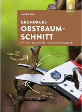 预订不退不换德语 Grundkurs Obstbaumschnitt:Von Apfel bis Zwetsche - so schneiden Sie gut a