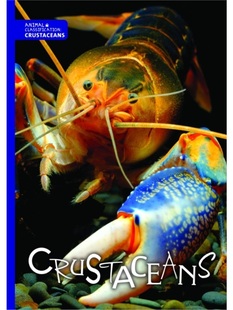 预订Crustaceans