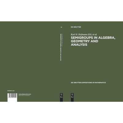 按需印刷DGYT Semigroups in Algebra, Geometry and Analysis[9783110143195]