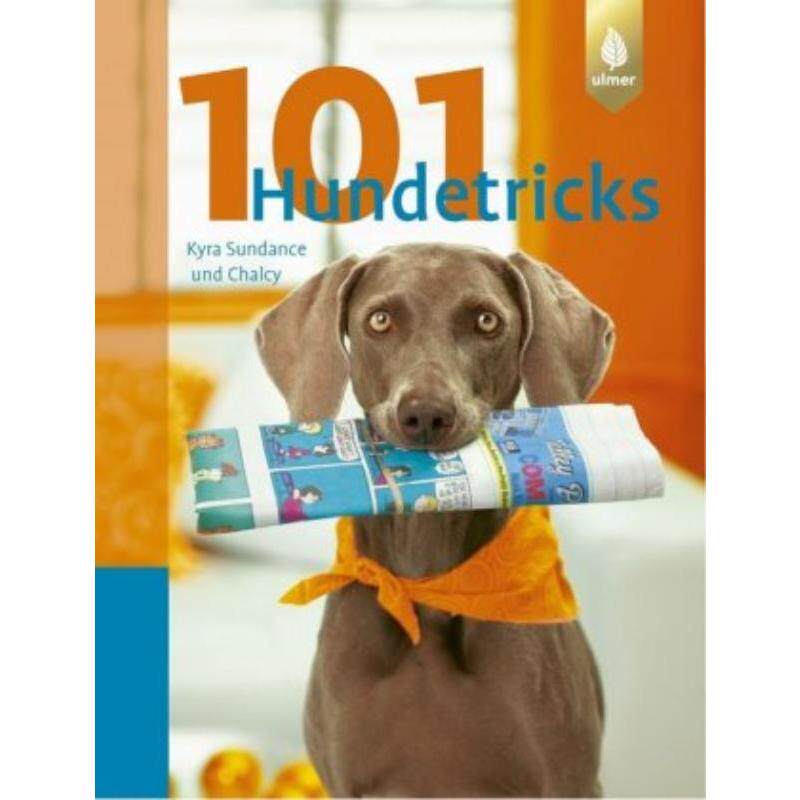 预订，预计下单后3-6周左右发货！