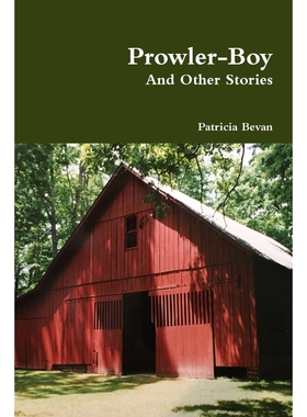 按需印刷Prowler-Boy And Other Stories[9781387165049]