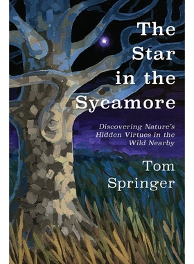 按需印刷The Star in the Sycamore[9781950659548]