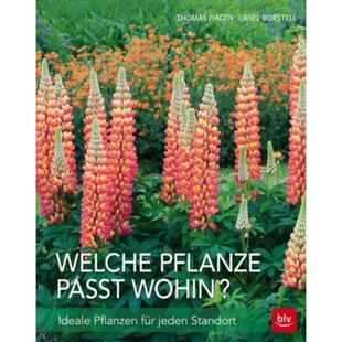 预订不退不换德语 Welche Pflanze passt wohin?:Ideale Pflanzen für jeden Standort