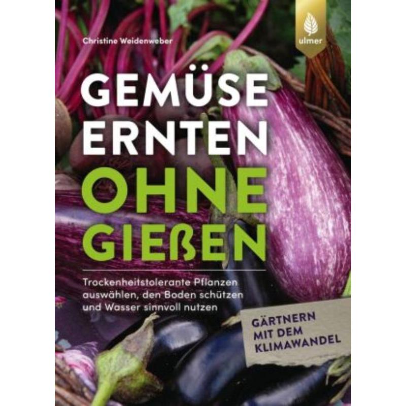 预订，预计下单后3-6周左右发货！