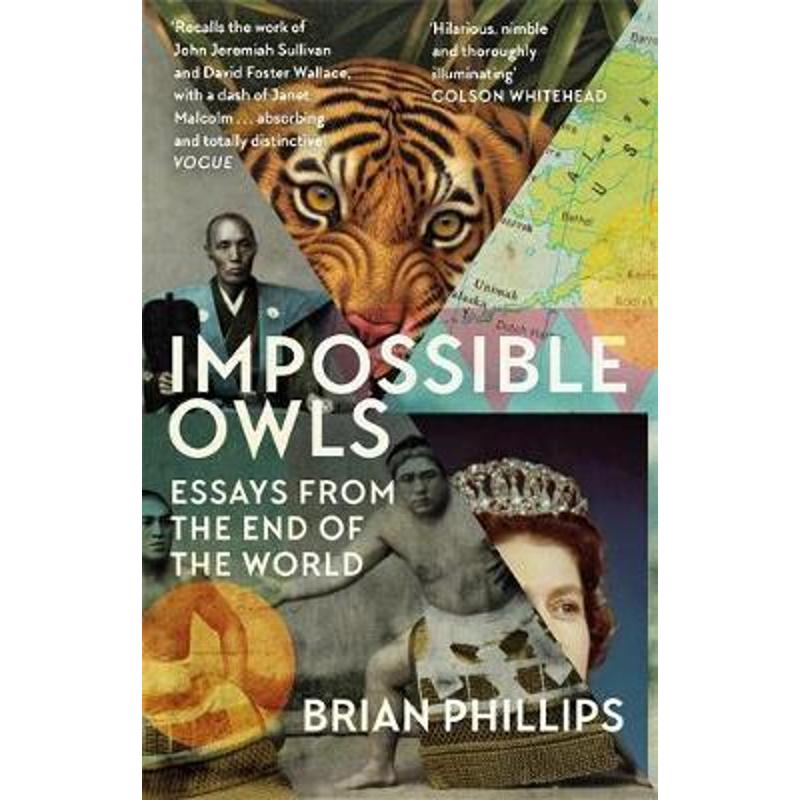 【无货】Impossible Owls