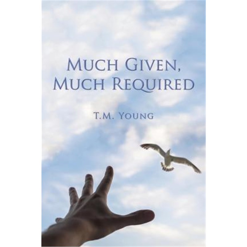 预订，预计下单后3-4周左右发货！