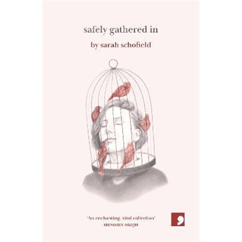 预订，预计下单后2-3周左右发货！