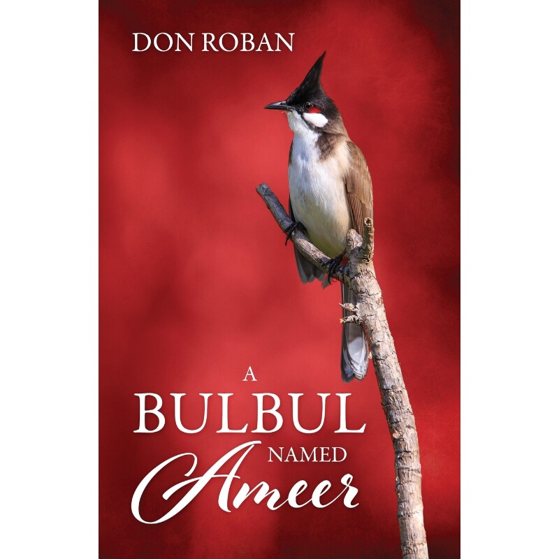 预订，预计下单后2-3周左右发货！