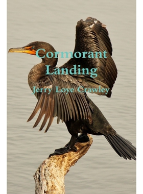 按需印刷Cormorant Landing[9781365897153]