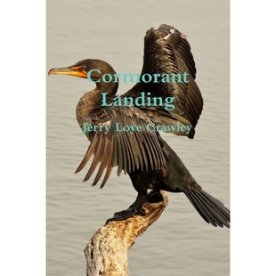 按需印刷Cormorant Landing 9781365897153