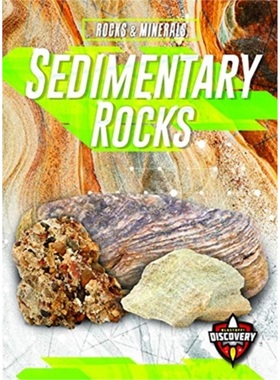 预订Sedimentary Rocks[9781644870778]
