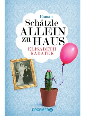 预订【德语】Schatzle allein zu Haus[9783426307199]