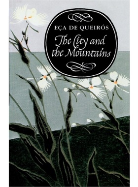 预订Sin of Father Amaro