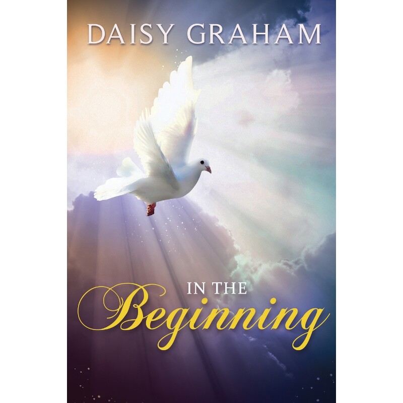 预订，预计下单后2-3周左右发货！