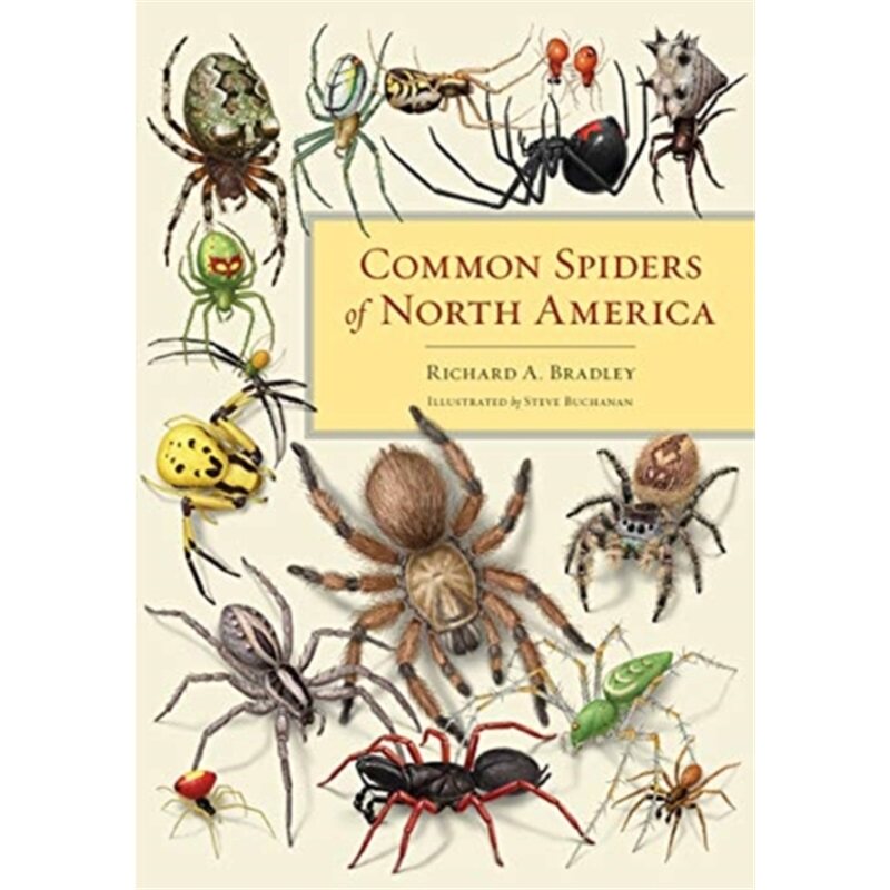 预订不退不换Common Spiders of North America[9780520315310]