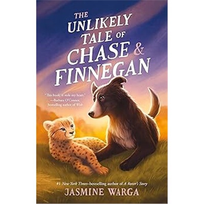 现货 切斯与芬尼根的奇遇 The Unlikely Tale of Chase and Finnegan 英文原版 上海外文 9781250387189