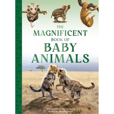 预订Magnificent Book of Baby Animals[9781915588470]