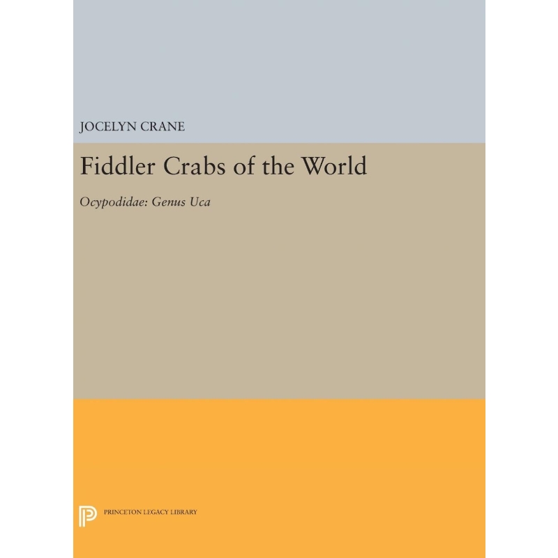 预订，预计下单后2-3周左右发货！