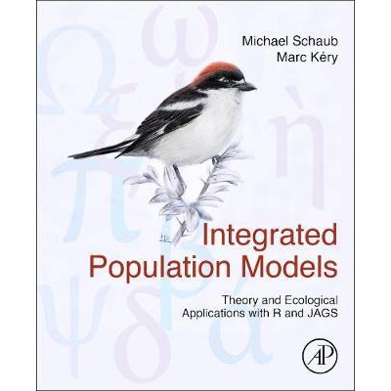 预订，预计下单后2-3周左右发货！