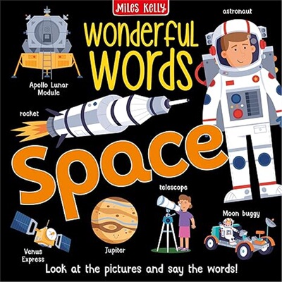 现货Wonderful Words - SPACE[9781789898439]上海外文