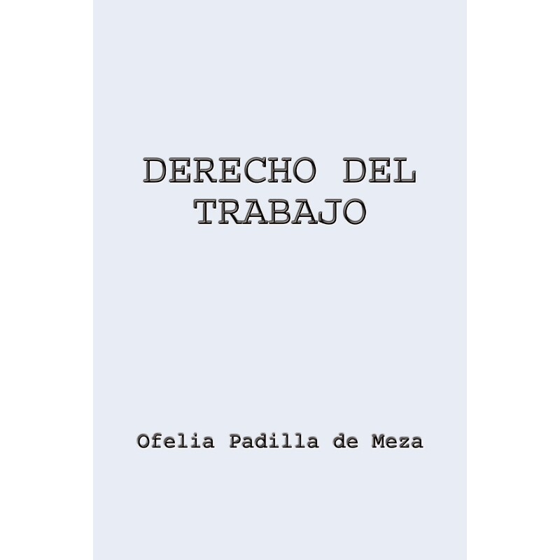 按需印刷不退不换DERECHO DEL TRABAJO[9780759680920]