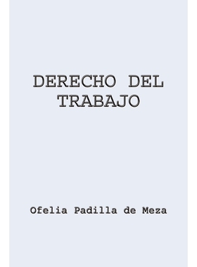 按需印刷DERECHO DEL TRABAJO[9780759680920]