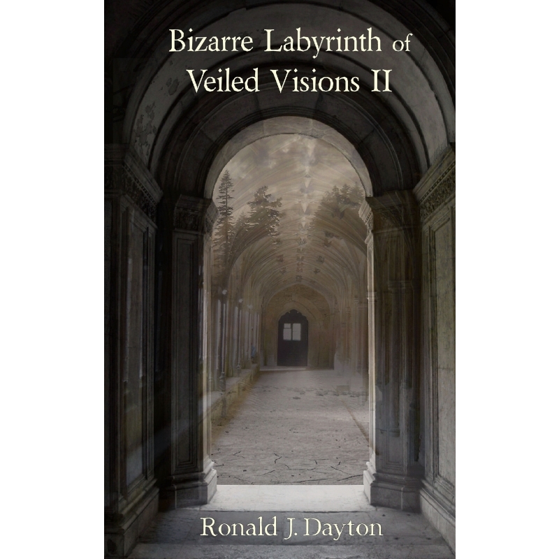 按需印刷Bizarre Labyrinth of Veiled Visions II[9780244549756]