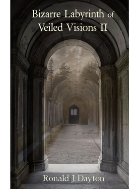 按需印刷Bizarre Labyrinth of Veiled Visions II[9780244549756]