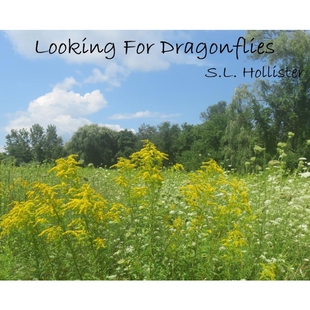 按需印刷不退不换Looking For Dragonflies[9781732844506]
