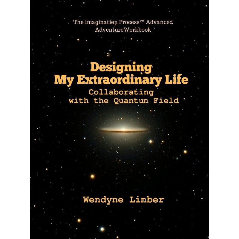 按需印刷不退不换Designing My Extraordinary Life - Collaborating with the Quantum Field[9780359750375]