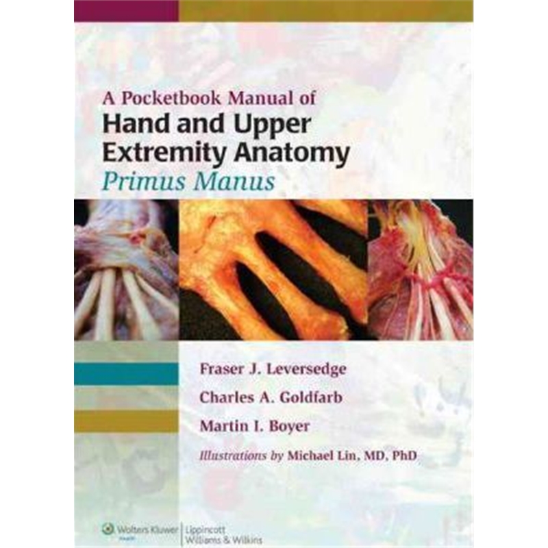 预订A Pocketbook Manual of Hand and Upper Extremity Anatomy: Primus Manus 书籍/杂志/报纸 原版其它 原图主图
