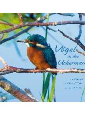 预订不退不换德语 Vögel in der Uckermark:Ein Fotoband von Reinhard Scholz