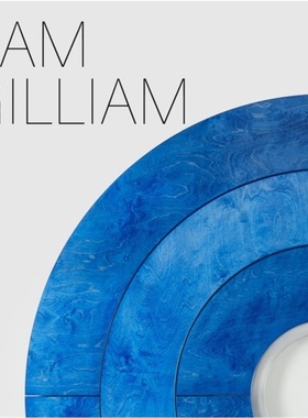 预订Sam Gilliam - Existed Existing[9781948701389]