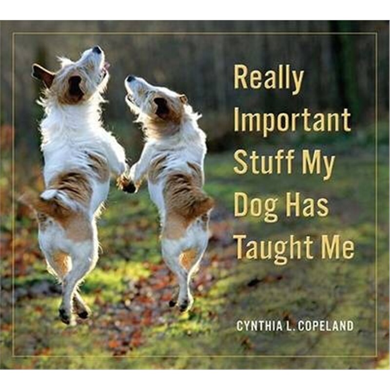 预订really important stuff my dog has taught me:less bark, more