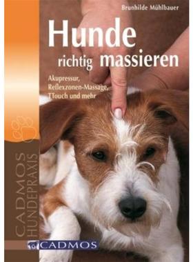 预订【德语】 Hunde richtig massieren:Akupressur, Reflexzonen-Massage, TTOUCH und mehr