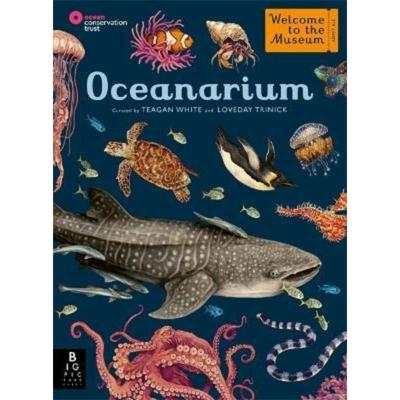 现货 Oceanarium