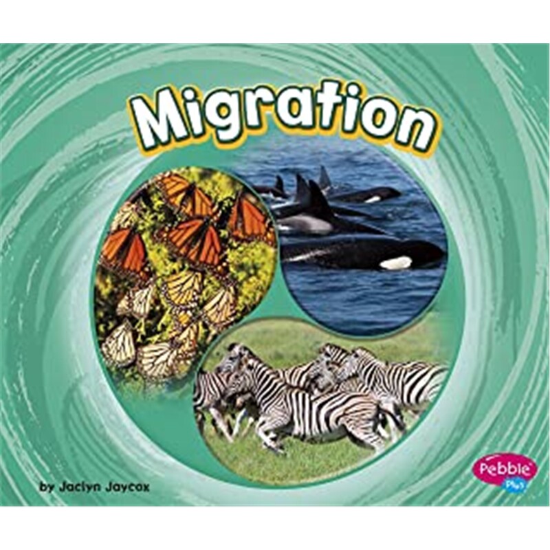 预订不退不换Migration