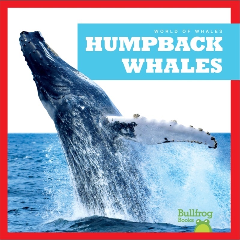 预订Humpback Whales[9798885245951]