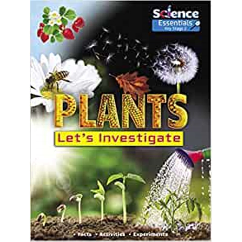 预订，预计下单后2-3周左右发货！