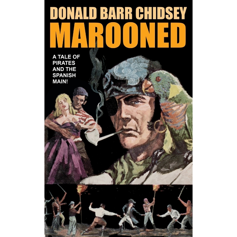 预订，预计下单后2-3周左右发货！