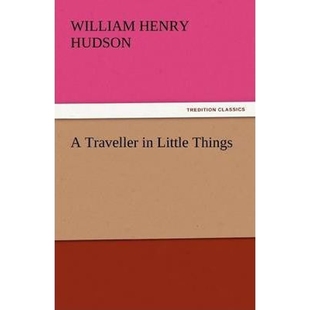 Traveller 9783842432505 Things Little 按需印刷A