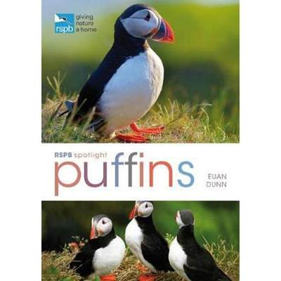 预订RSPB Spotlight: Puffins