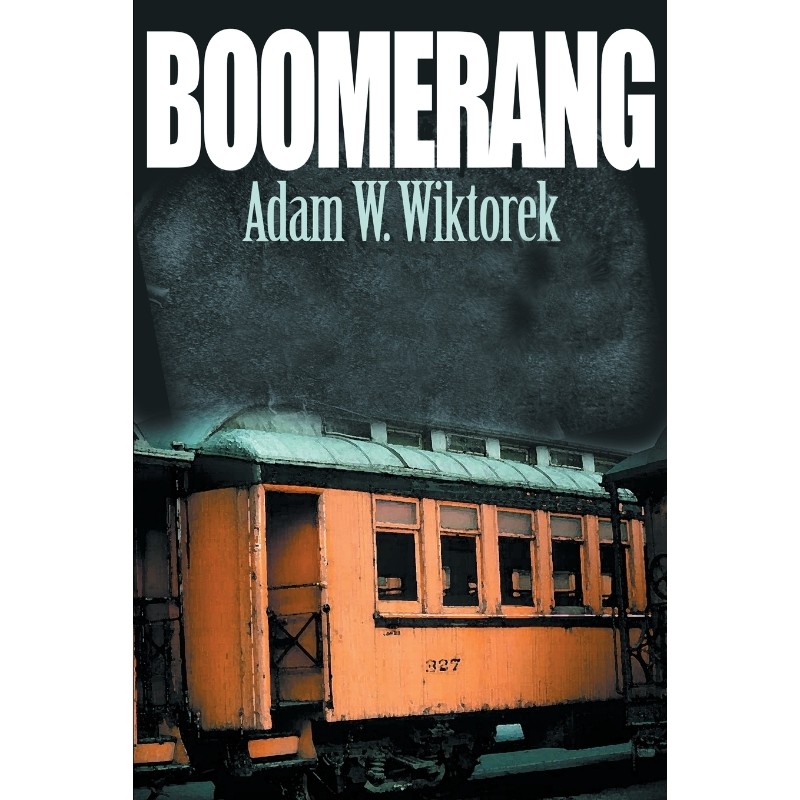 按需印刷不退不换Boomerang[9780595159260]