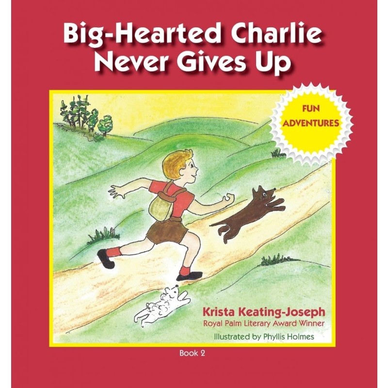 预订，预计下单后2-3周左右发货！