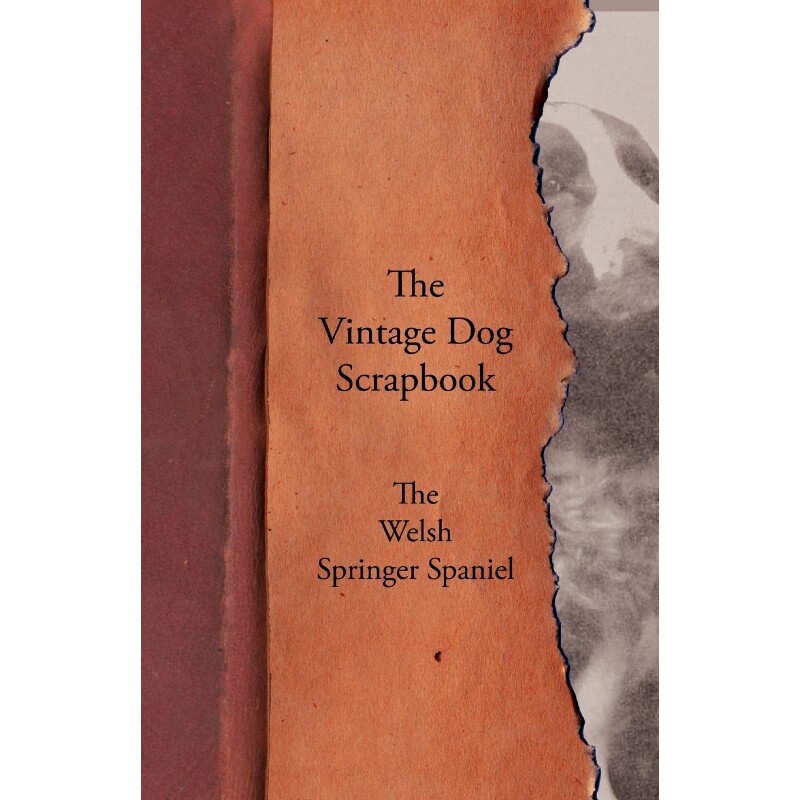 按需印刷不退不换The Vintage Dog Scrapbook - The Welsh Springer Spaniel[9781447429913]
