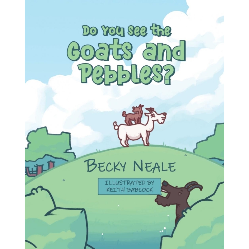 预订，预计下单后2-3周左右发货！