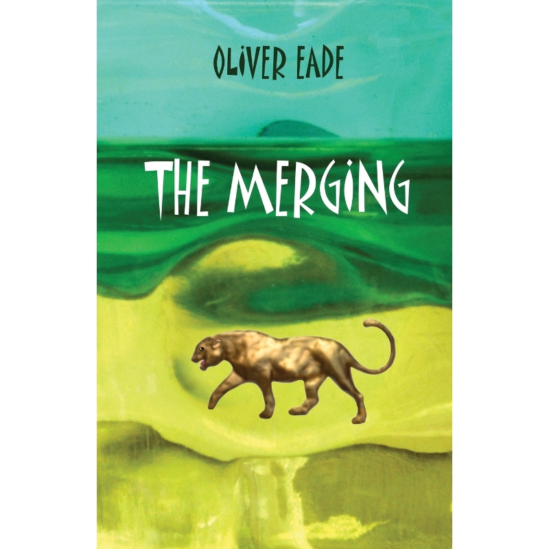 预订，预计下单后2-3周左右发货！