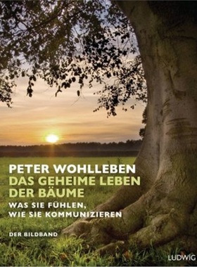 预订【德语】Das geheime Leben der Baume[9783453280885]