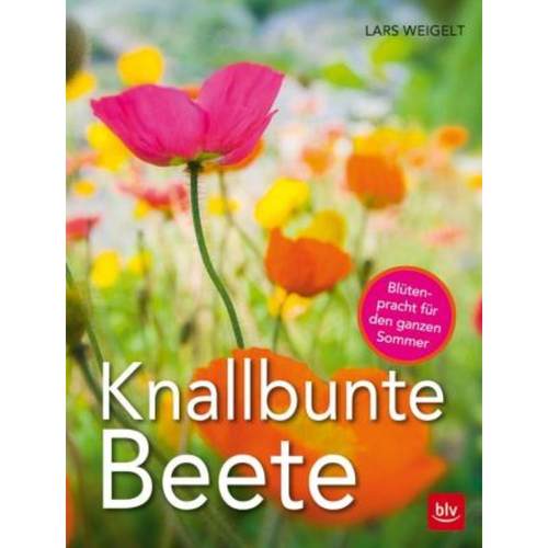 预订，预计下单后3-6周左右发货！